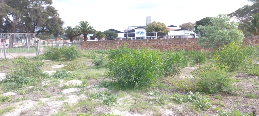 0 Bedroom Property for Sale in Albertinia Western Cape